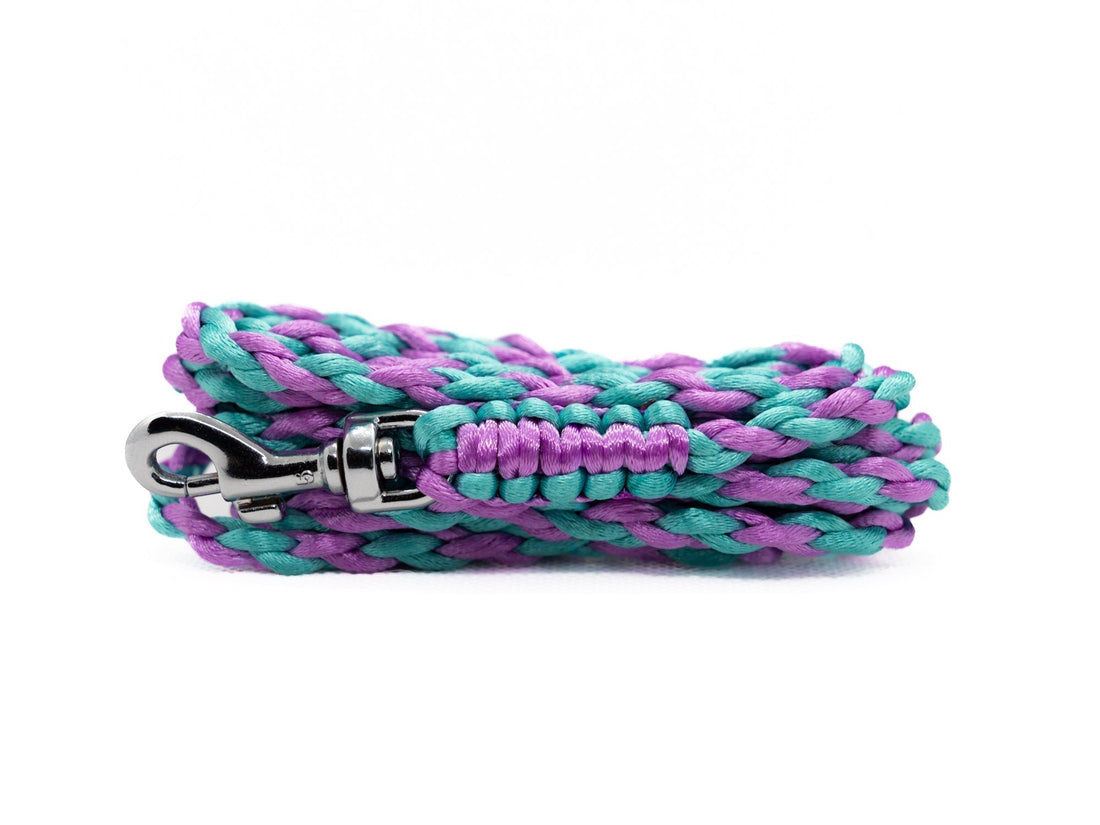 Jak zvolit správné vodítko pro králíka?